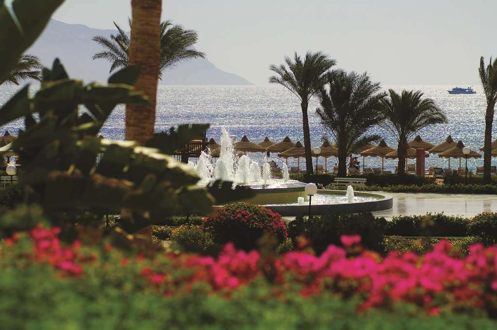 Baron Resort Sharm El Sheikh (Adults Only) Ресторант снимка